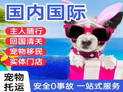 胶东机场物流国际宠物托运 【国